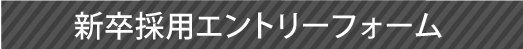 V̗pGg[tH[