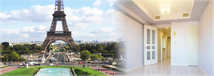 Paris Style