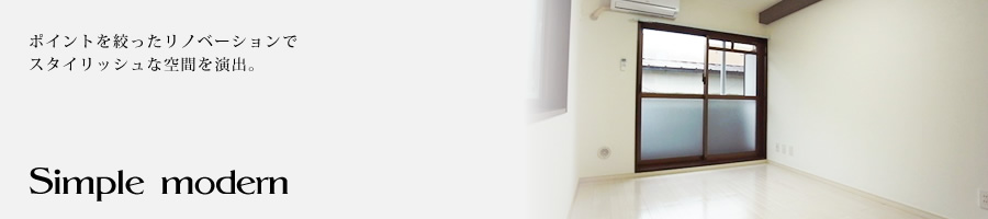 Simple moderm